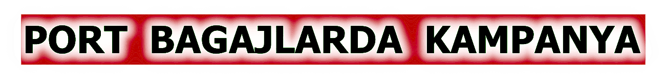 THULE TOURİNG 200 GRİ KAMPANYA